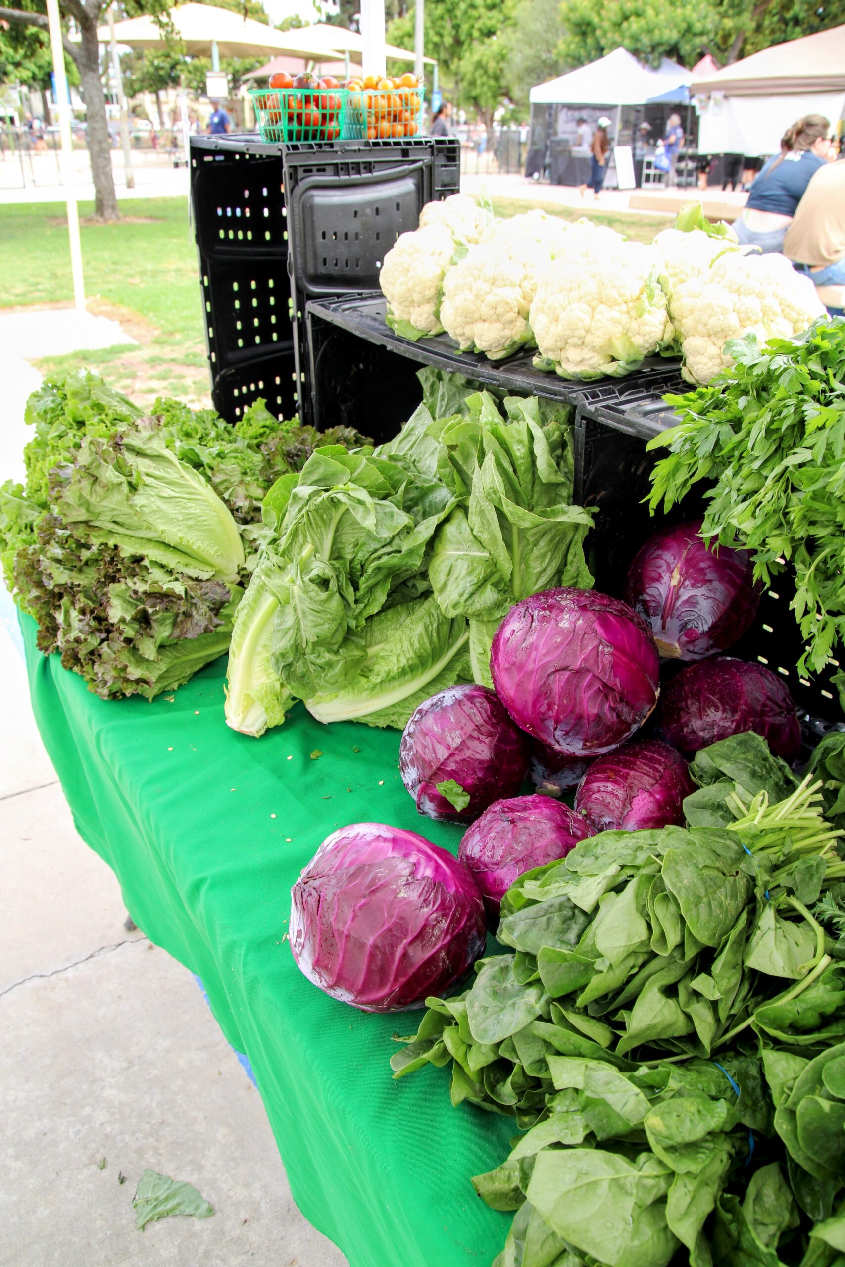 Farmers market table with cauliflower, red cabbage, romaine lettuce and spinach on a green tablecloth.