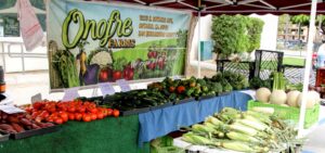 Farmers market stall displaying tomatoes, cucumbers, peppers, corn and melons under a vendor tent.