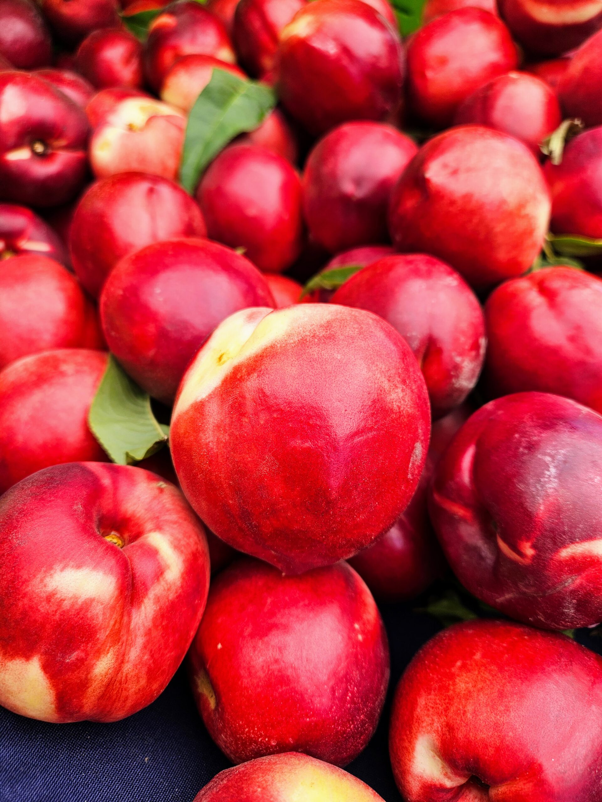 Fresh red nectarines and peaches at Local Harvest Farmers Markets