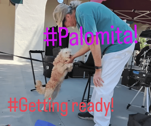 Man in teal shirt bending to hold a small fluffy dog near a market tent and stage equipment.
